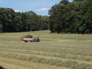 Traktor auf Feld RV 13
